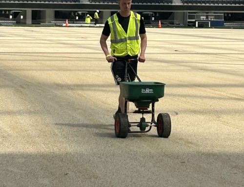 Preparing the Pitch: Nail Dragging, Rolling, and Media Day in LA